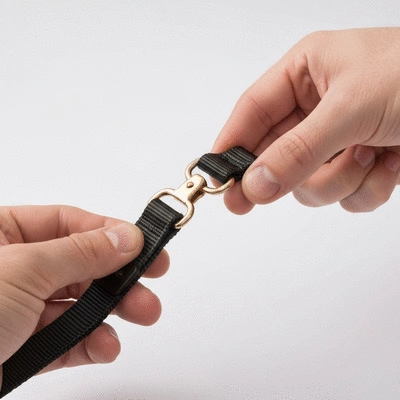 Close-up of dog car restraint clip being checked for damage